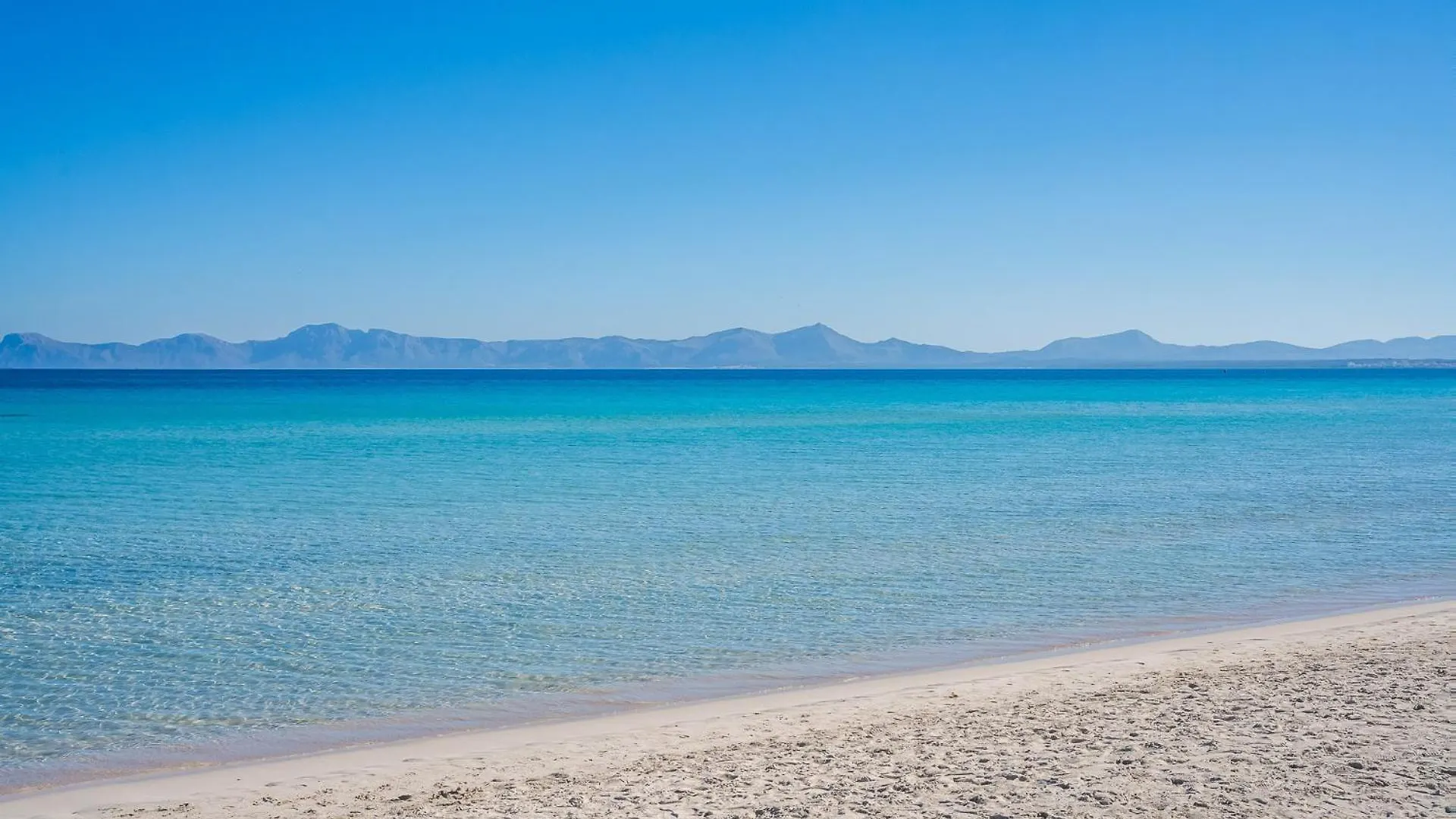 Ideal Property Mallorca - Canet Beach Port de Alcudia  Lejlighed Port de Alcudia (Mallorca)
